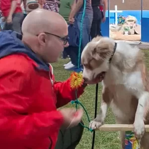 Adestrador de cachorro foto