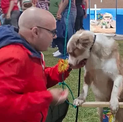 Adestrador de cachorro foto