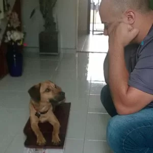 Adestrador de cachorro foto