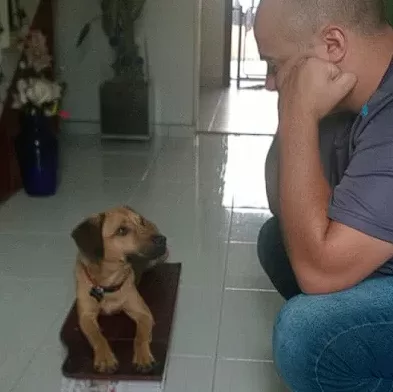 Adestrador de cachorro foto